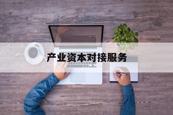 产业资本对接服务(产业资本对接服务包括哪些)岳阳市 产业资本对接服务(产业资本对接服务包括哪些)岳阳市